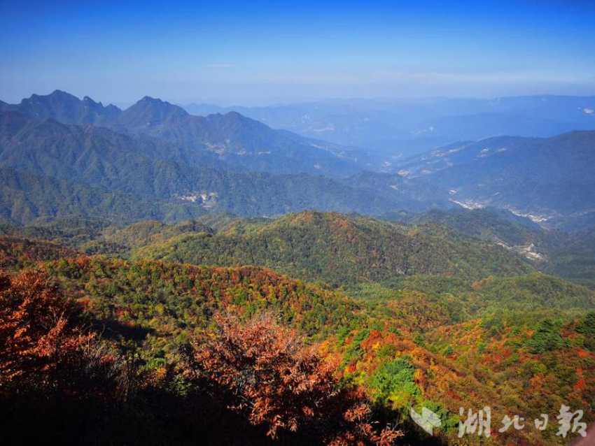 大老岭三峡云顶景色。（通讯员饶国栋 摄）