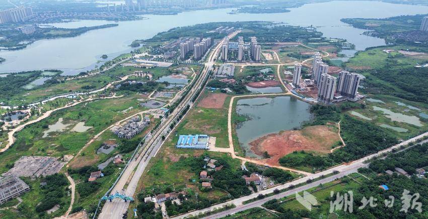 【20241111】事关保交楼！武汉新城红莲湖片区这条道路继续东延.docx
