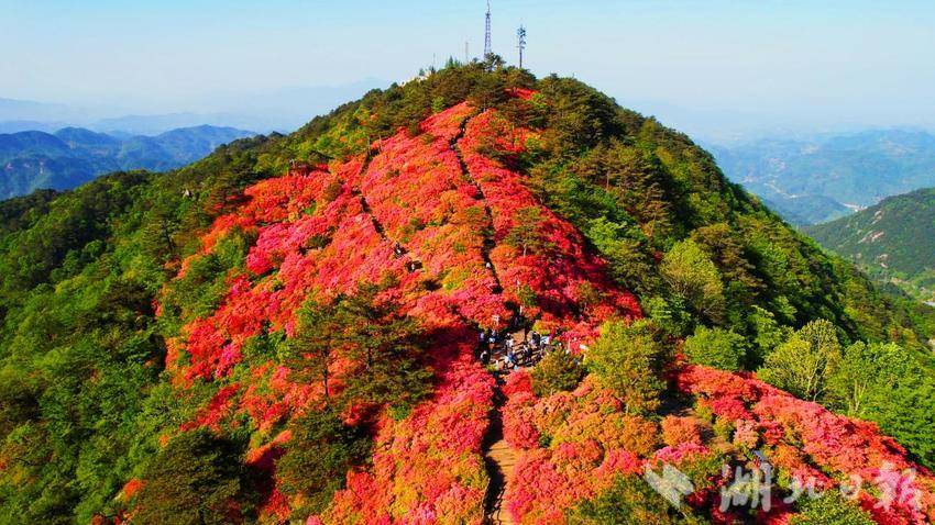 龟峰山四季.doc