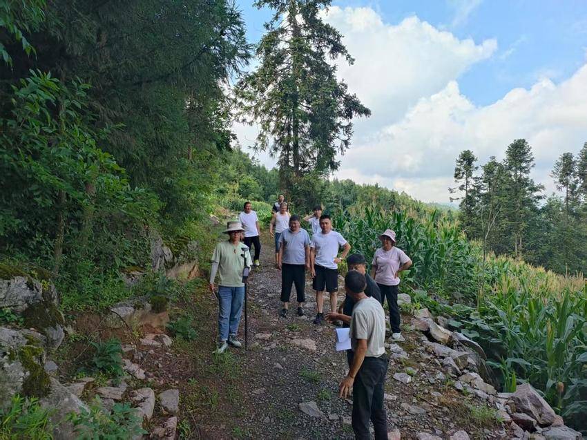 （通讯稿）法治甘霖润凉城（修改2025.10.15）.docx