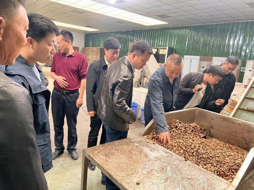 交流促发展，携手共提升.docx