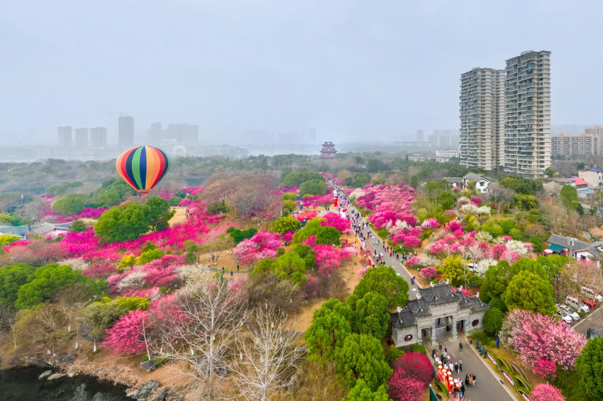 从此东坡·烟火黄州年 2026东坡庙会黄冈主城区春节文旅活动导览.docx