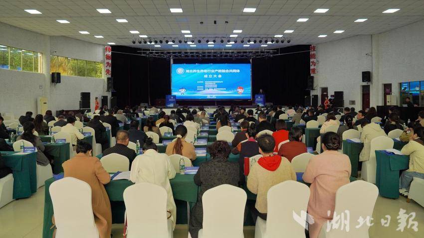 湖北养生养老行业产教融合共同体在咸成立.docx