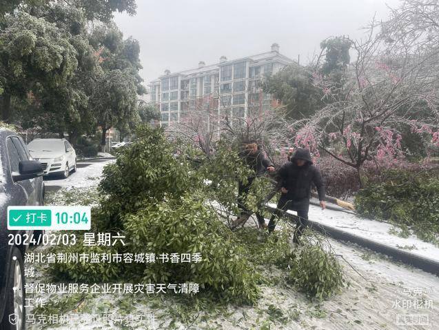 市住建局全力以赴应对雨雪冰冻.docx