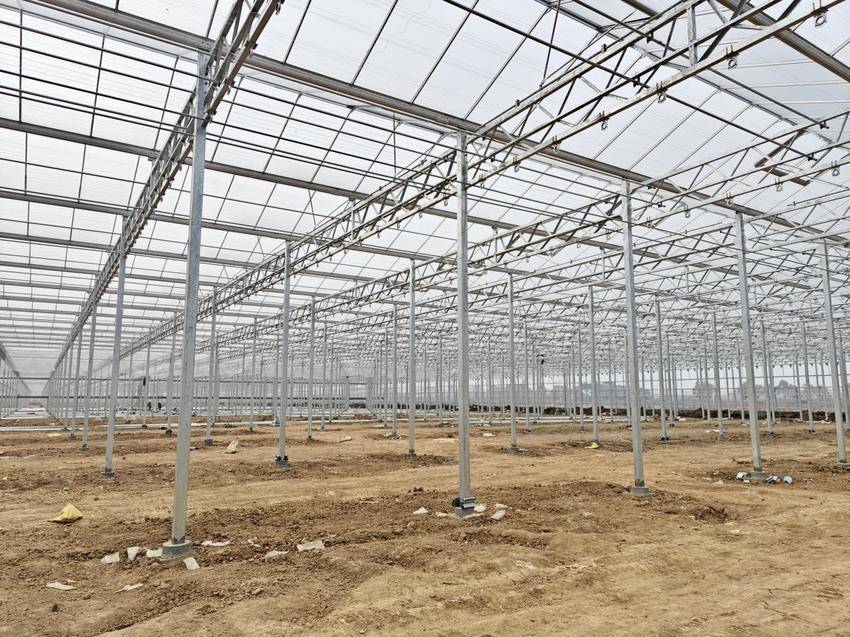 孝南农业双轮驱动：从荒岗粮仓到智慧农场的振兴图景(1).docx