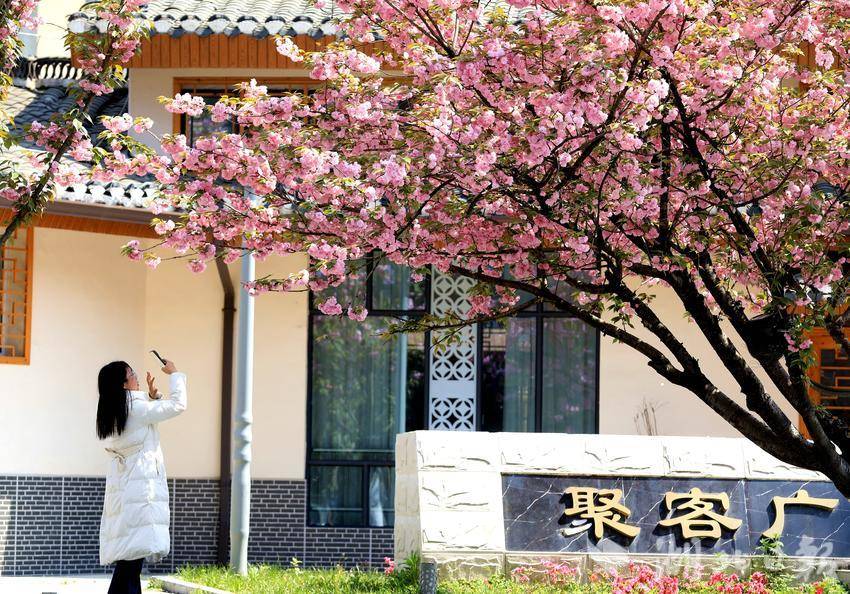 IMGL8350_副本_副本.jpg IMGL8350_副本_副本.jpg