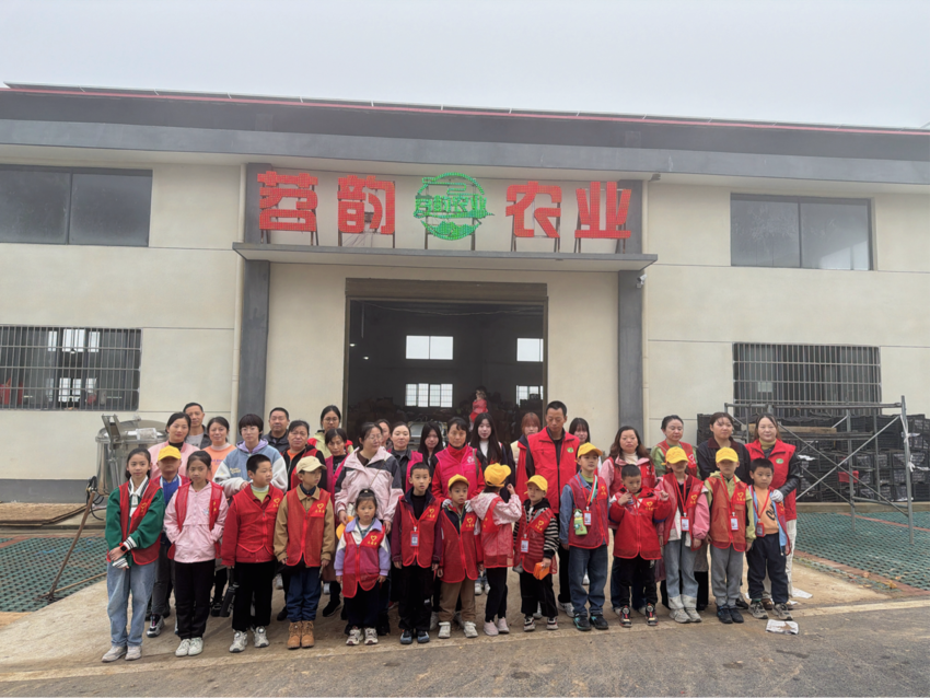 田间挖薯寻乐趣 亲子假期别样甜.docx