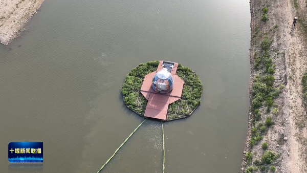 BWtjI+cUmdjFAAAAAElFTkSuQmCC