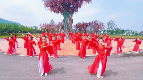湖北又一景区出圈.docx