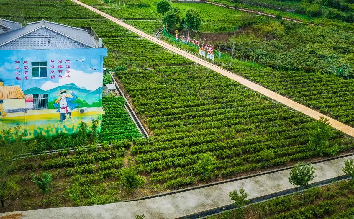 画里画外美乡村
