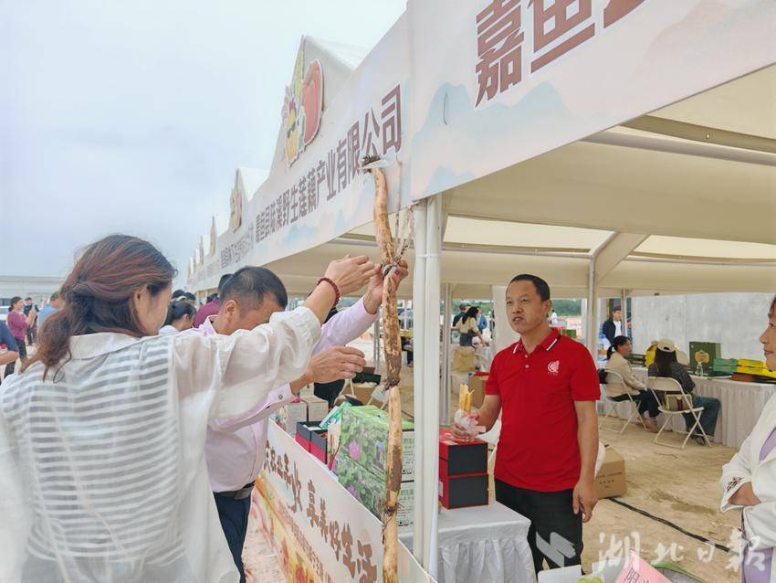 【庆农业丰收 享美好生活】稻花香里话丰收——2025年中国农民丰收节咸宁主会场在嘉鱼成功举办(1)(1).docx