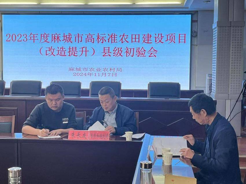 11.08麻城市开展2023年度高标准农田建设项目县级初验.docx