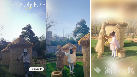 党建引领生态蝶变：武城村“唯爱小花园”绘就乡村振兴新图景.docx