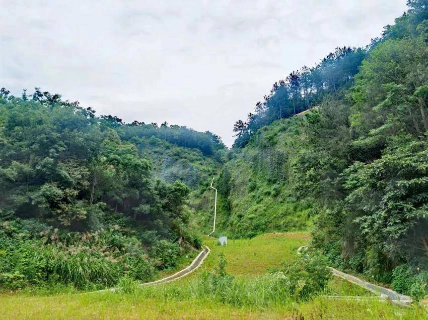 222222222222222222若问吾乡美不美，且看山色皆翠微——武穴推进矿山生态修复工作纪实(1).docx