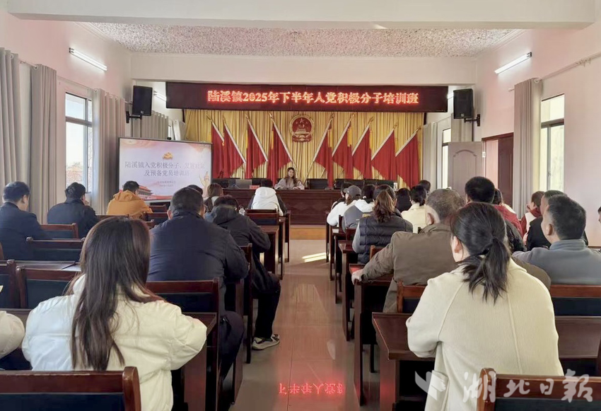 陆溪镇2025年下半年入党积极分子集中培训圆满举行.docx