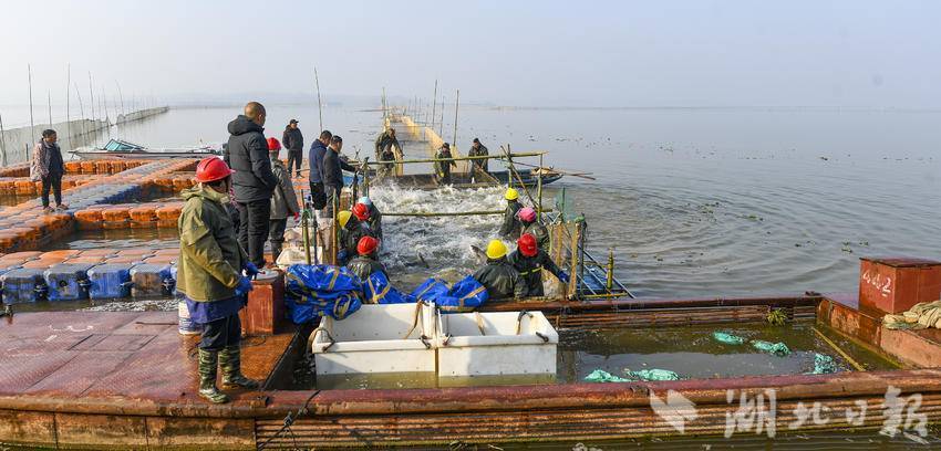 嘉鱼蜜泉湖鱼跃人欢(1).doc