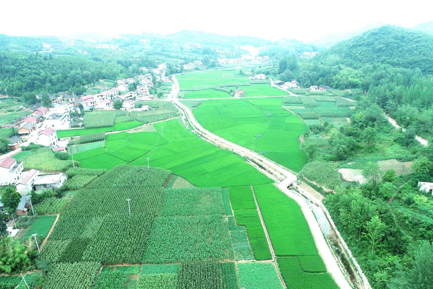高标准农田与美丽村庄相映成趣。