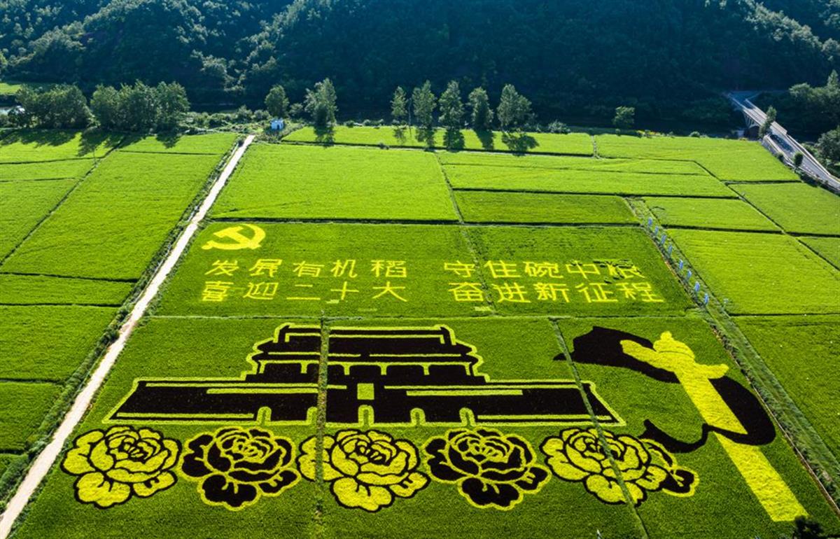 微信图片_20240828113250.jpg