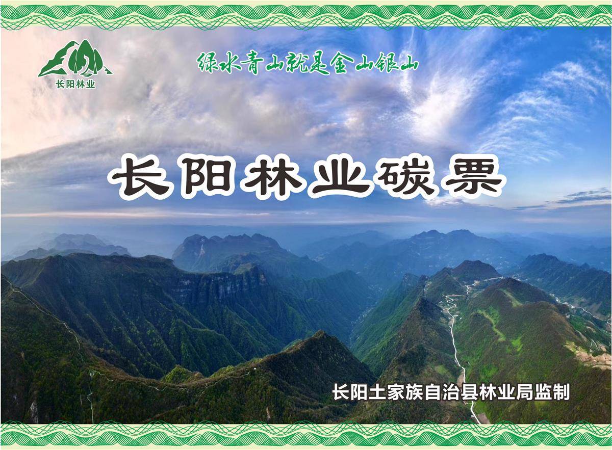 2024年5月，長(zhǎng)陽土家族自治縣制發(fā)湖北省首長(zhǎng)林業(yè)碳票。（長(zhǎng)陽林業(yè)局供圖）