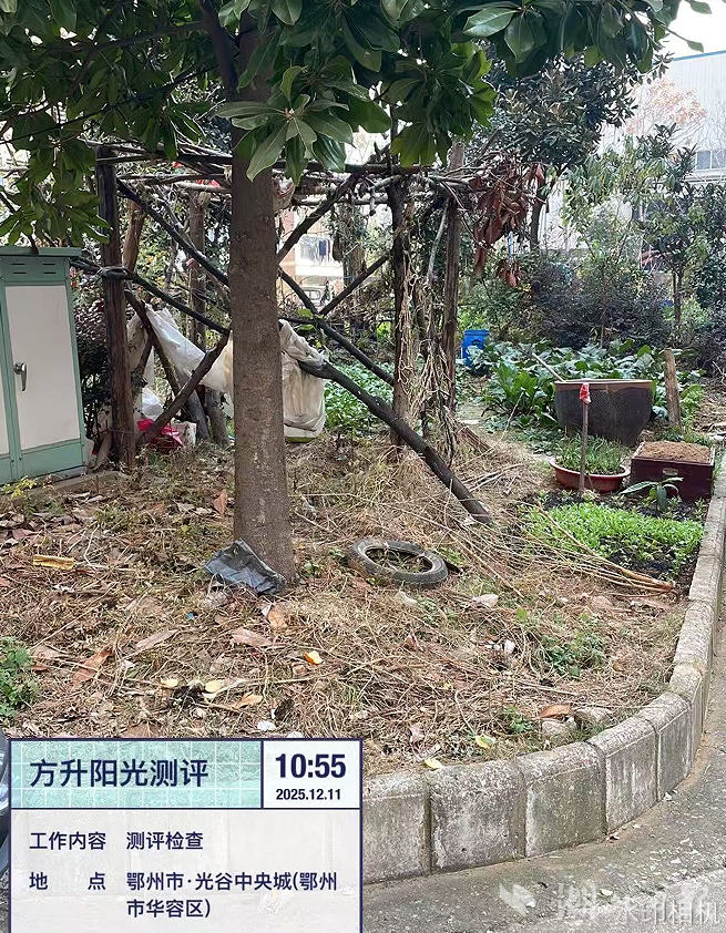 2025年第七期物业项目红黑榜报送信息2025.12.16.docx