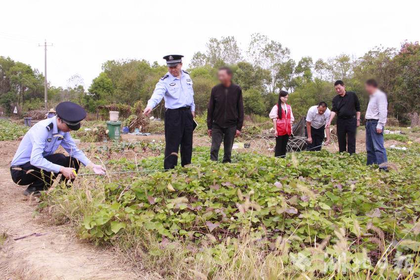 多元调处土地边界纠纷