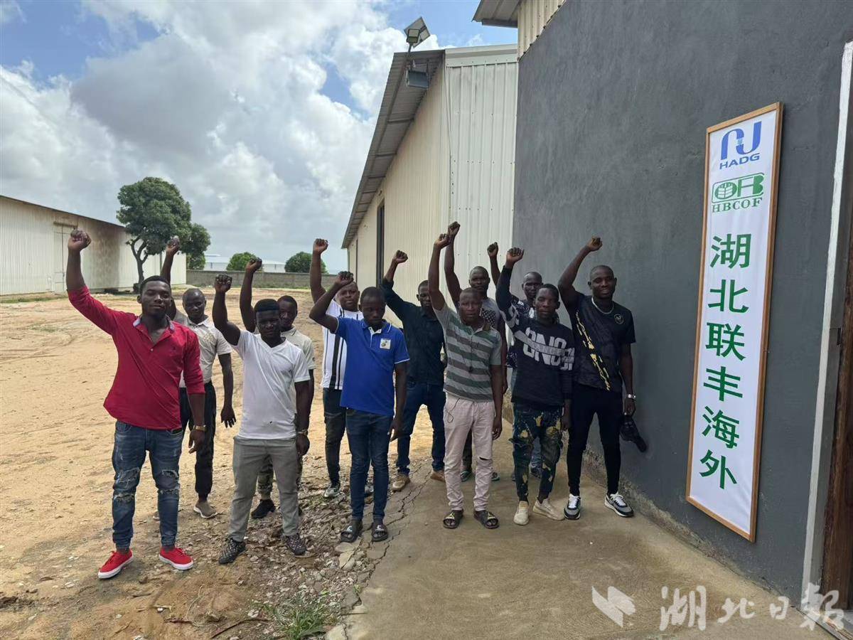 联丰海外公司在莫桑比克建设的农产品初级加工基地。（受访单位供图）