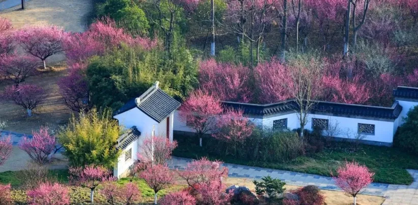 从此东坡·烟火黄州年 2026东坡庙会黄冈主城区春节文旅活动导览.docx