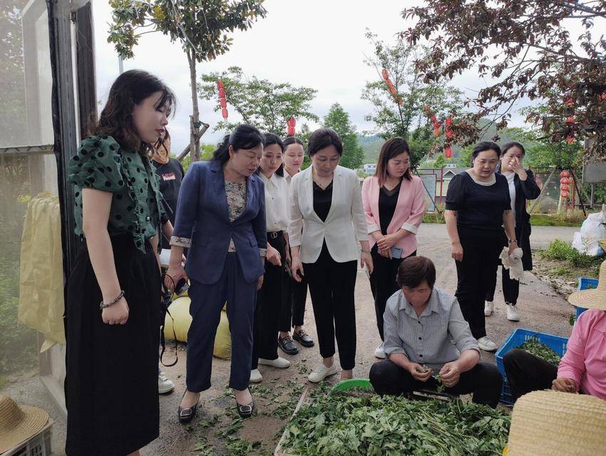创新四个载体，汇集“共同缔造”的巾帼力量（市妇联共同缔造工作新闻稿）20230531-4.docx