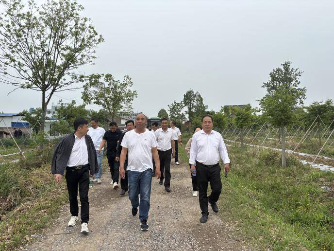 宣传报道-项目建设代表行动.docx