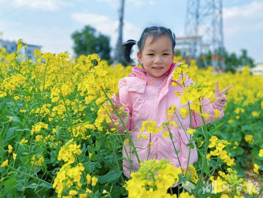 沼山镇第一幼儿园视力防控新闻报道.docx