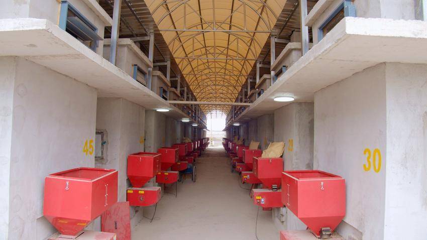 生物质可以烤房群