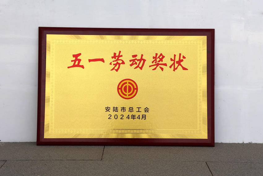 弘极荣获安陆五一劳动奖状.docx