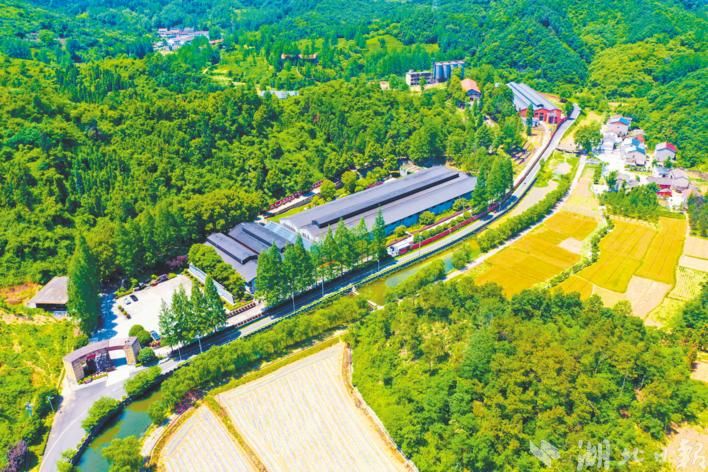 �������ֺ���������