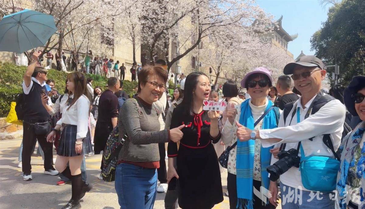 “澳门同学团”为武大樱花点赞。