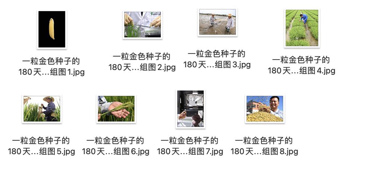 截屏2023-03-14 10.27.14.png