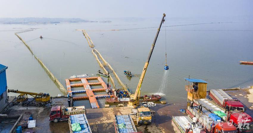 嘉鱼蜜泉湖鱼跃人欢(1).doc