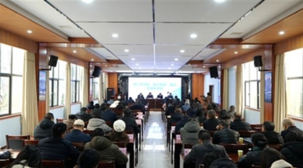 微信截图_20241224091024