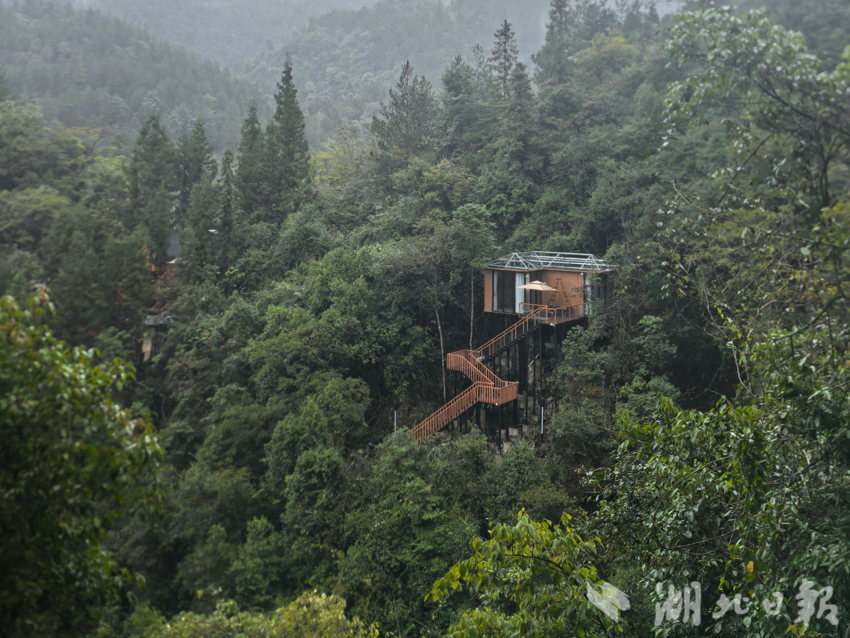 唐家铺村新修的民宿“木屋”