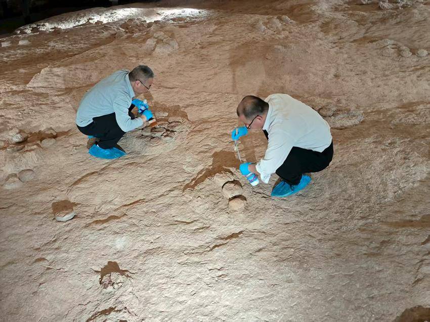 连续3年与古生物化石保护材料研究专家、四川轻化工大学邓建国教授团队合作，成功研制出青龙山独有的恐龙蛋化石保护材料，经实地喷涂试验，达到预期效果。