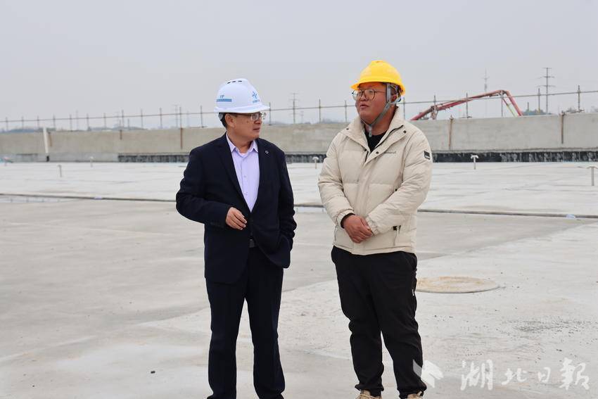 从“筑巢引凤”到“双向奔赴”：湖北新芯电子科技有限公司半导体封测项目落地嘉鱼背景观察.docx