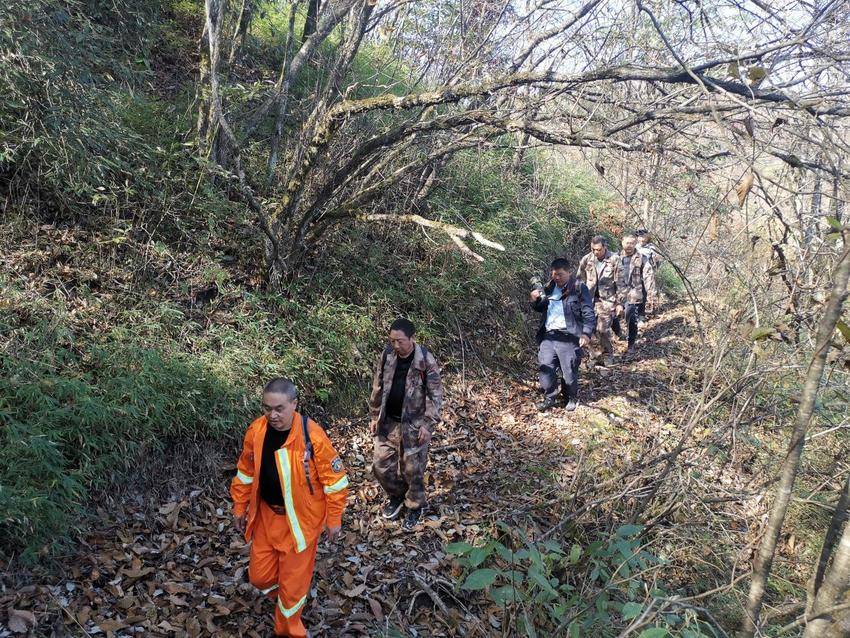 后河保护区开展森林资源专项巡护和生物多样性监测工作.docx