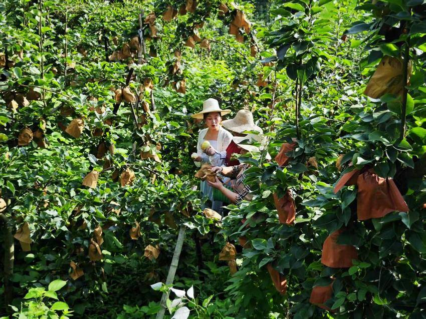 【修改定稿版】将军山脚下正冲村【余四海散文2850字】.docx