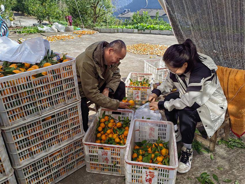 楠木溪村驻村干部：入户听民意 实干解民忧 点亮民心路.doc