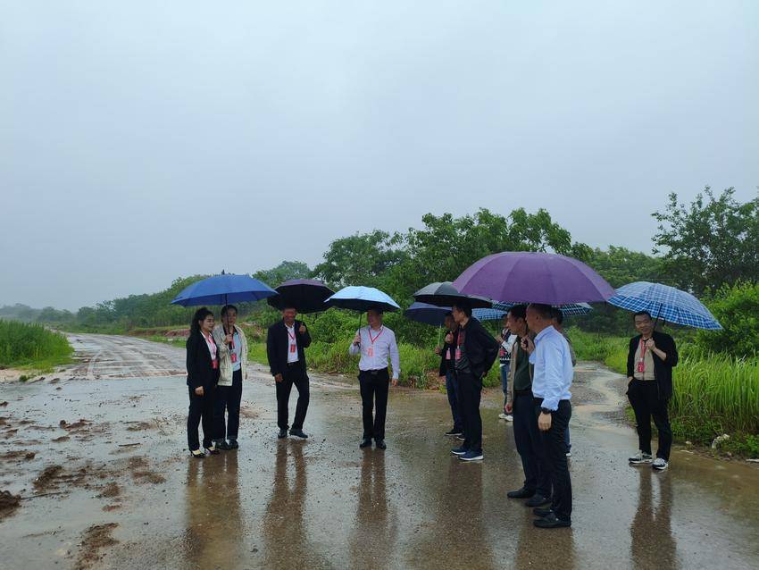 【20250508】聚力支点建设 为街区亮丽路网连通赋能，庙岭镇人大开展专题调研活动.doc