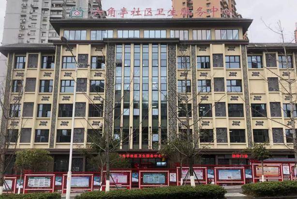 恩施市公共卫生服务综述.docx