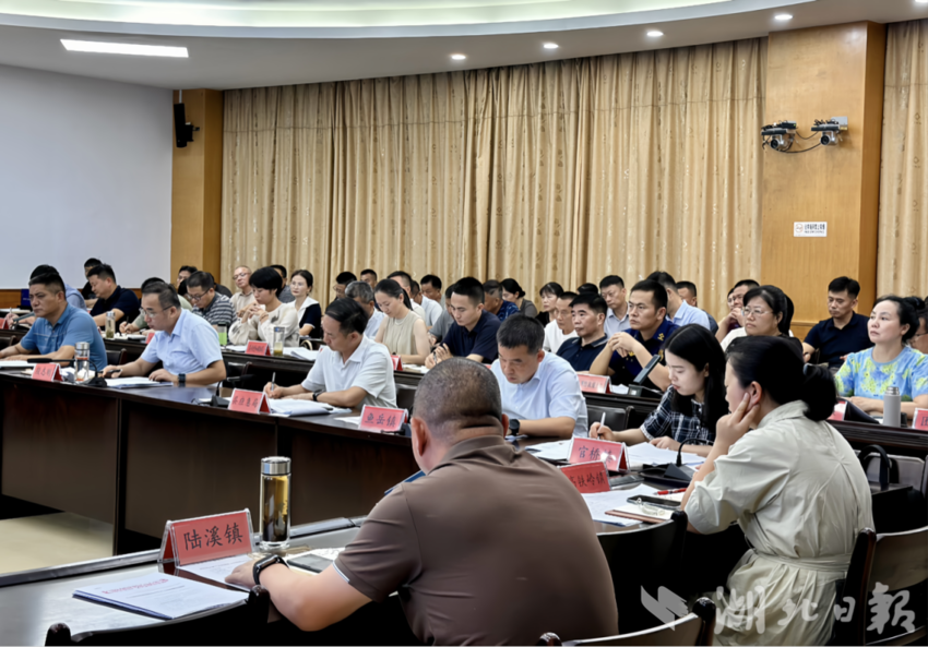 嘉鱼县召开未成年人防溺水工作推进会.docx