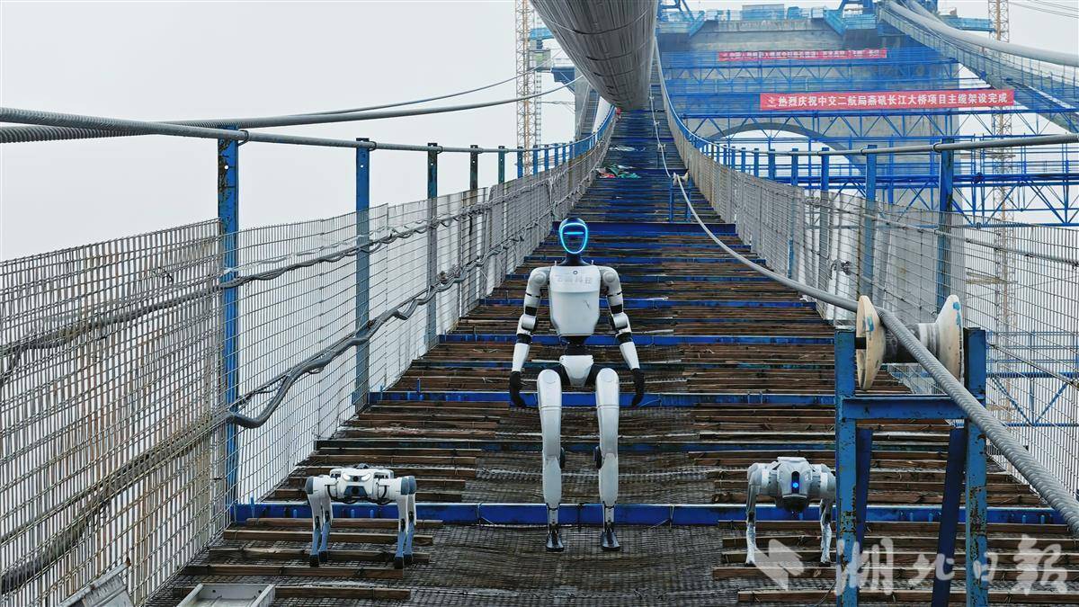 走猫道的“小飞”和机器狗。通讯员陆落义摄