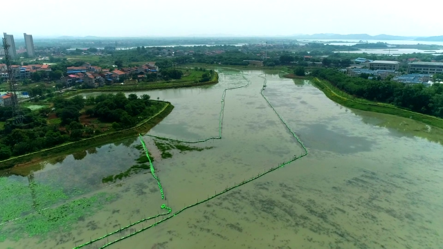 绿水青山入画来 江夏努力建设幸福河湖  梁子湖、斧头湖水质达到Ⅱ类