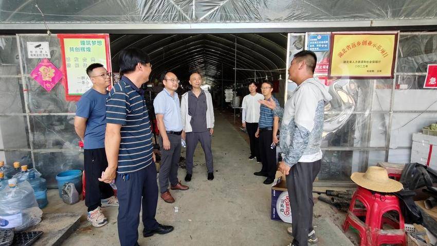 666666666666666666科技赋能 结对帮扶 助力农业提质增效.docx