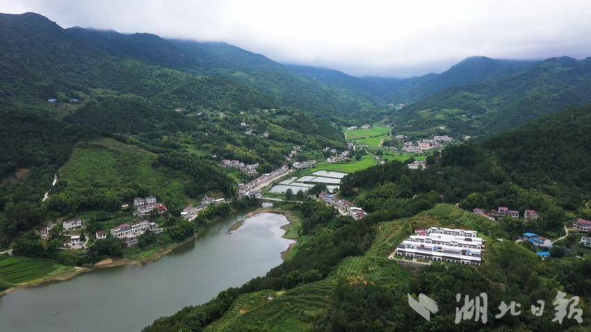 蕲春县大同镇气候湿润适合多种水果种植